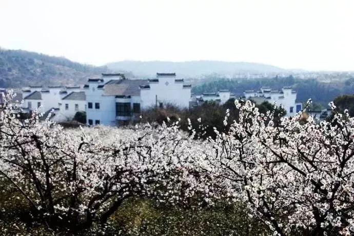 三国群英传7