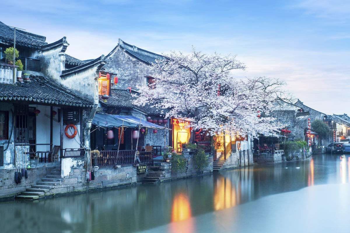 巧虎踢足球2